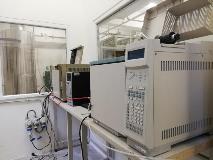 Gas Chromatograph (Agilent 7820) and Gas Chromatograph (Agilent 5890)